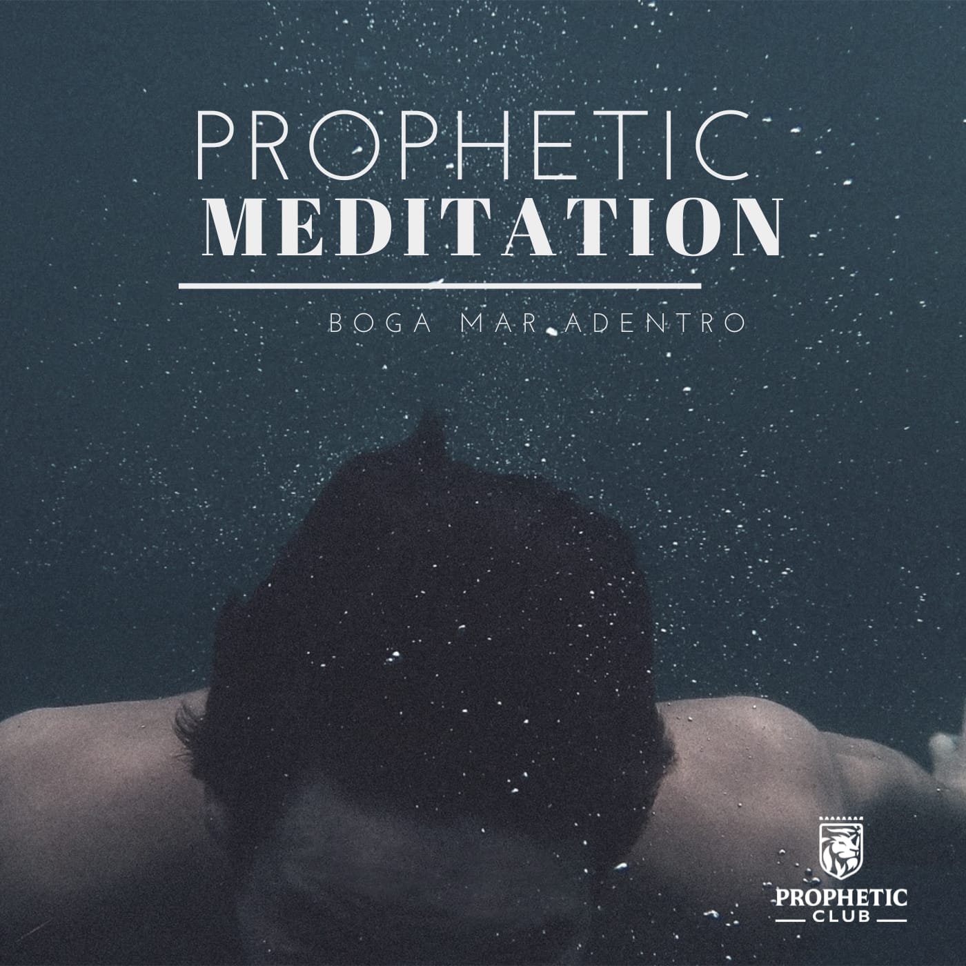 Prophetic Meditation